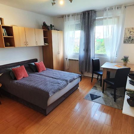 Apartman 64 - Besplatan Parking Za Goste Нови Сад Екстериор снимка